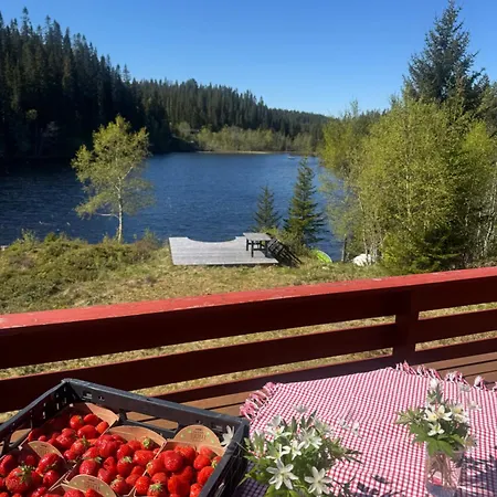 Cozy Lakeside * Buvika