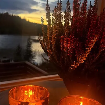 Campingplasser Cozy Lakeside